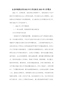 生态环境局分局20XX年工作总结及20XX年工作要点