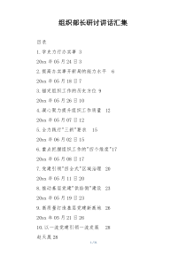 组织部长研讨讲话汇集