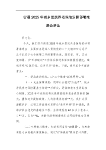 街道2025年城乡居民养老保险安排部署推进会讲话