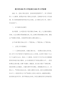 统计局20XX年工作总结及20XX年工作安排