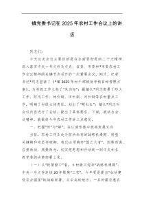 镇党委书记在2025年农村工作会议上的讲话
