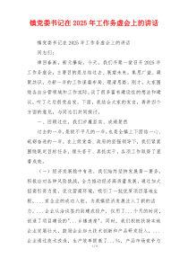 镇党委书记在2025年工作务虚会上的讲话
