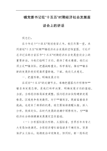 镇党委书记在十五五时期经济社会发展座谈会上的讲话