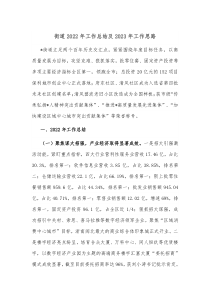 街道20XX年工作总结及20XX年工作思路22