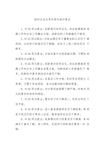 101组组织生活会党员相互批评意见汇编