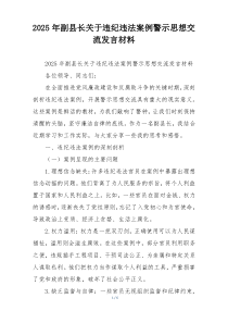 2025年副县长关于违纪违法案例警示思想交流发言材料
