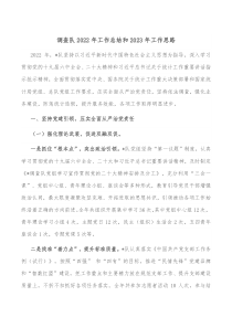 调查队20XX年工作总结和20XX年工作思路