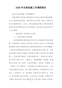 2025年支部党建工作调研报告