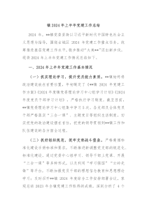 镇2024年上半年党建工作总结