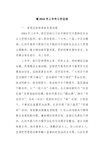 镇2024年上半年工作总结