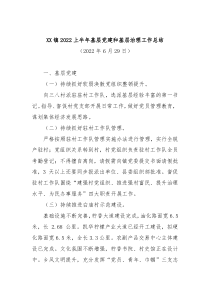 镇20XX上半年基层党建和基层治理工作总结