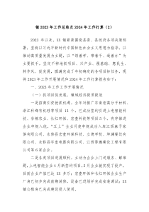 镇20XX年工作总结及2024年工作打算2