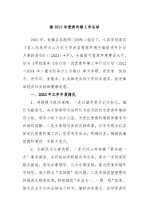 镇20XX年营商环境工作总结