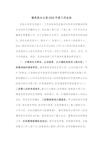 镇党政办公室20XX年度工作总结