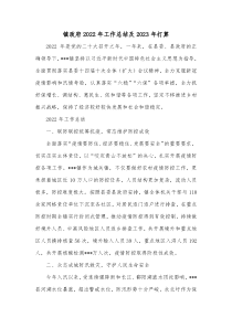 镇政府20XX年工作总结及20XX年打算