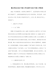 镇水利站20XX年度工作总结和20XX年度工作规划