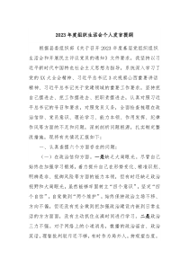 2023年度组织生活会个人发言提纲