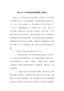 2024年X市农村经济经营管理工作要点