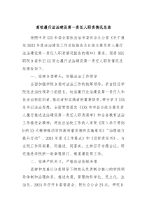 高校履行法治建设第一责任人职责情况总结
