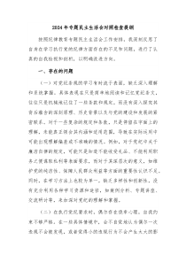 2024年专题民主生活会对照检查提纲