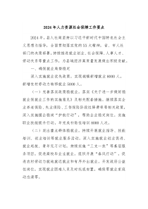 2024年人力资源社会保障工作要点