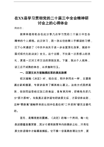 在县学习贯彻党的二十届三中全会精神研讨会上的心得体会