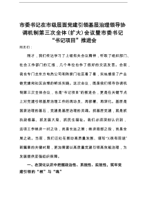市委书记在市级层面党建引领基层治理领导协调机制第三次全体（扩大）会议暨市委书记“书记项目”推进会
