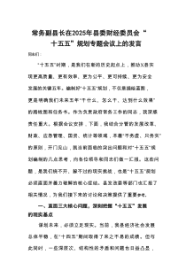 常务副县长在2025年县委财经委员会“十五五”规划专题会议上的发言