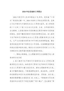 2024年全区组织工作要点
