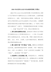 2024年全县非公企业与社会组织党建工作要点