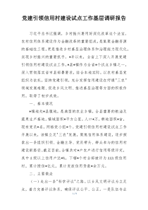 党建引领信用村建设试点工作基层调研报告