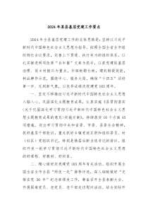 2024年某县基层党建工作要点