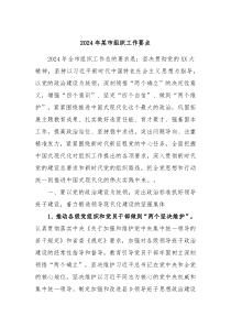 2024年某市组织工作要点