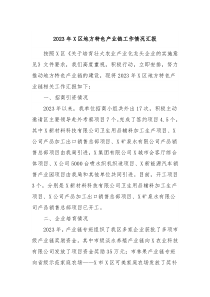 20XX年X区地方特色产业链工作情况汇报