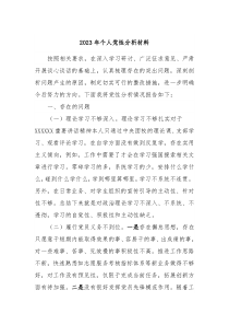 20XX年个人党性分析材料
