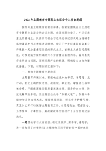 20XX年主题教育专题民主生活会个人发言提纲