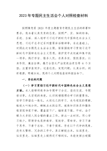 20XX年主题教育专题民主生活会个人对照检查乡镇书记践行宗旨等6个方面案例剖析上年度整改个人事项