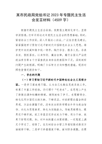 20XX年主题教育专题民主生活会个人对照检查民政践行宗旨等6个方面案例剖析上年度整改个人事项