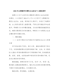 20XX年主题教育专题民主生活会个人整改清单