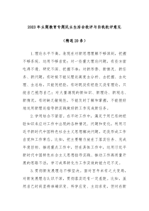 20XX年主题教育专题民主生活会批评与自我批评意见精选20条