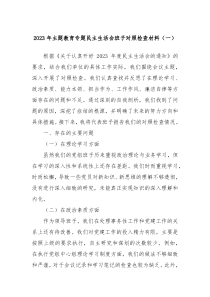 20XX年主题教育专题民主生活会班子对照检查材料一