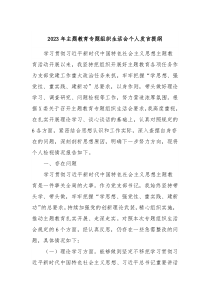 20XX年主题教育专题组织生活会个人发言提纲