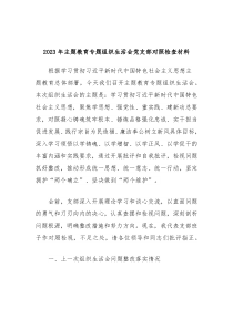 20XX年主题教育专题组织生活会党支部对照检查材料