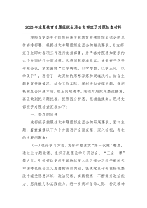 20XX年主题教育专题组织生活会支部班子对照检查材料