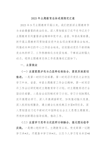 20XX年主题教育总体进展情况汇报