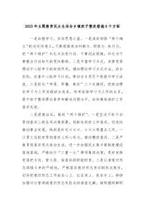 20XX年主题教育民主生活会乡镇班子整改措施6个方面