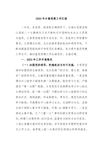 20XX年乡镇党建工作汇报