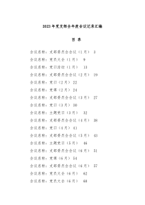 20XX年党支部全年度会议记录汇编