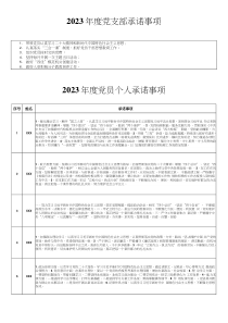 20XX年党支部和党员个人承诺事项