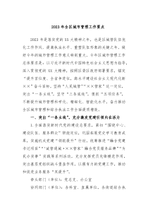 20XX年全区城市管理工作要点